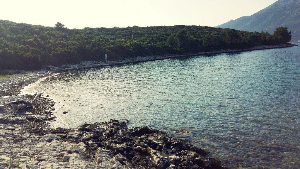 Ivana Apartment Korčula Dış mekan fotoğraf